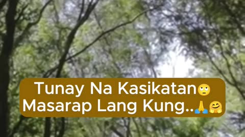 Ang Tunay Na Kasikatan