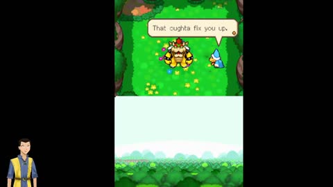 Mario & Luigi Bowser Inside Story (DS/RetroArch) day 1