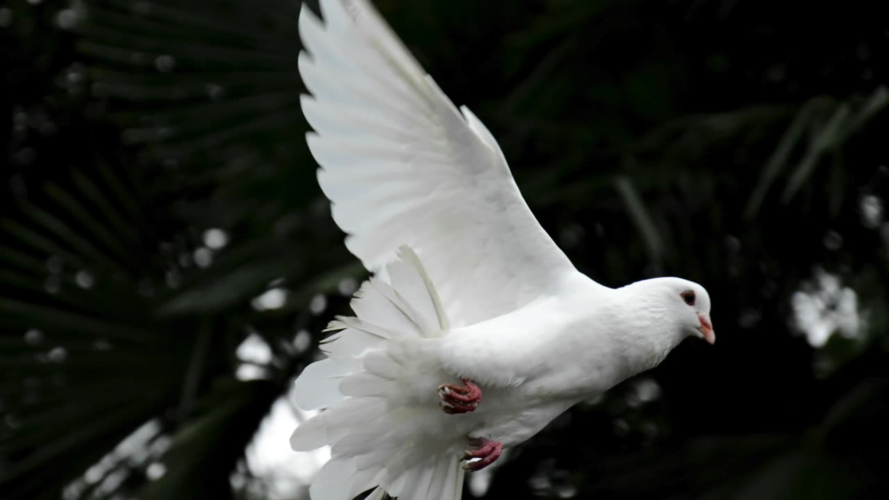 3 Bible Verses Clearly Stating Christians Who Walk in the Flesh are Not Promised Heaven–Audio10/26