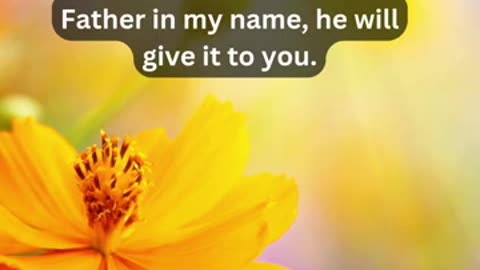 Journey of faith and spiritual growth John 16:23 Daily Bible Verse