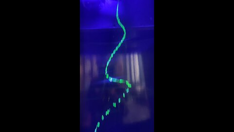 Green Water ASMR