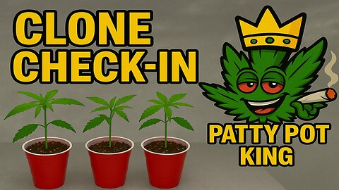 Clone Check-In 🌱 Strong Starts & Future Giants!