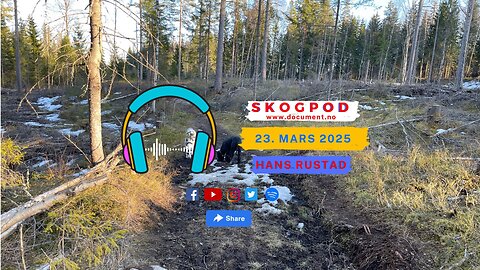 Skogpod 23. mars 2025