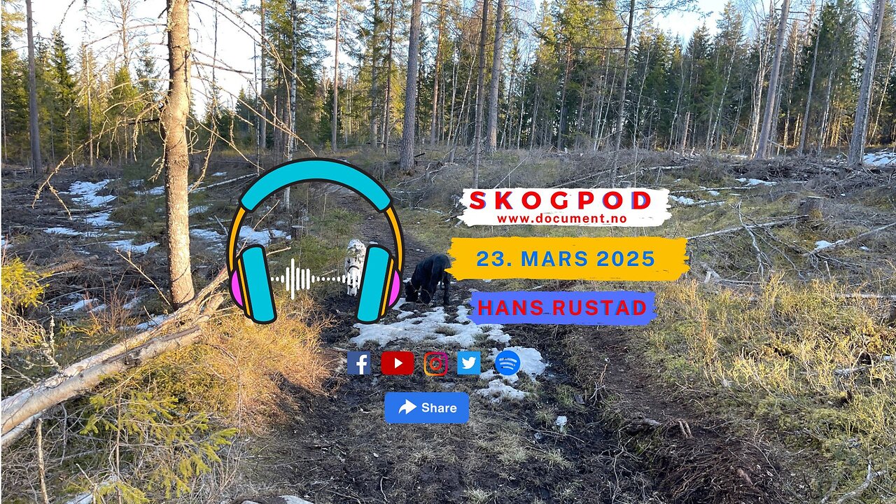 Skogpod 23. mars 2025