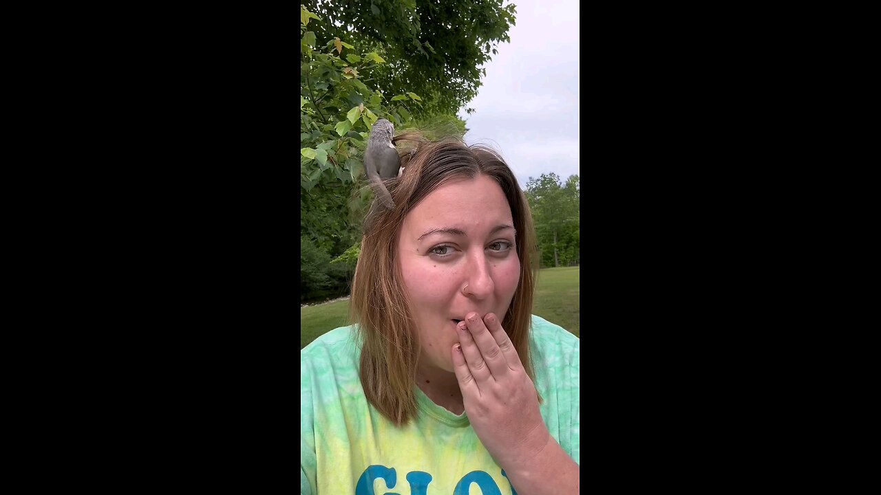 Bird making a nest on human hair