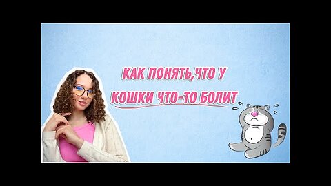 Как понять, что у кошки что-то болит. О чём молчит ваша кошка.