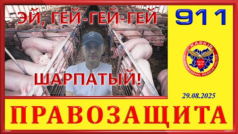 911- ЭЙ, ГЕЙ-ГЕЙ-ГЕЙ ШАРПАТЫЙ