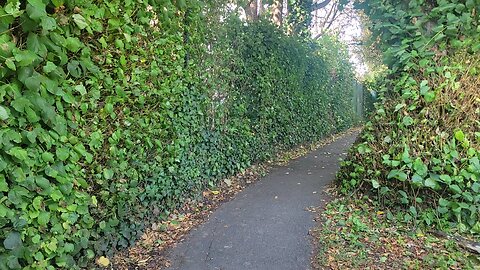 Road to Chichester University