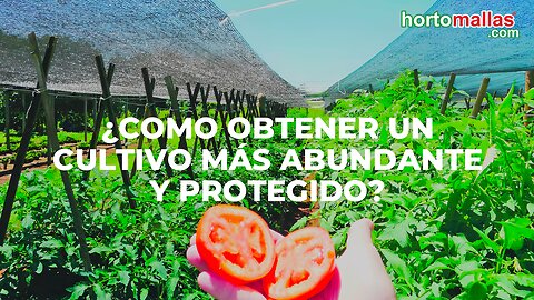 ¿Como obtener un cultivo más abundante y protegido?