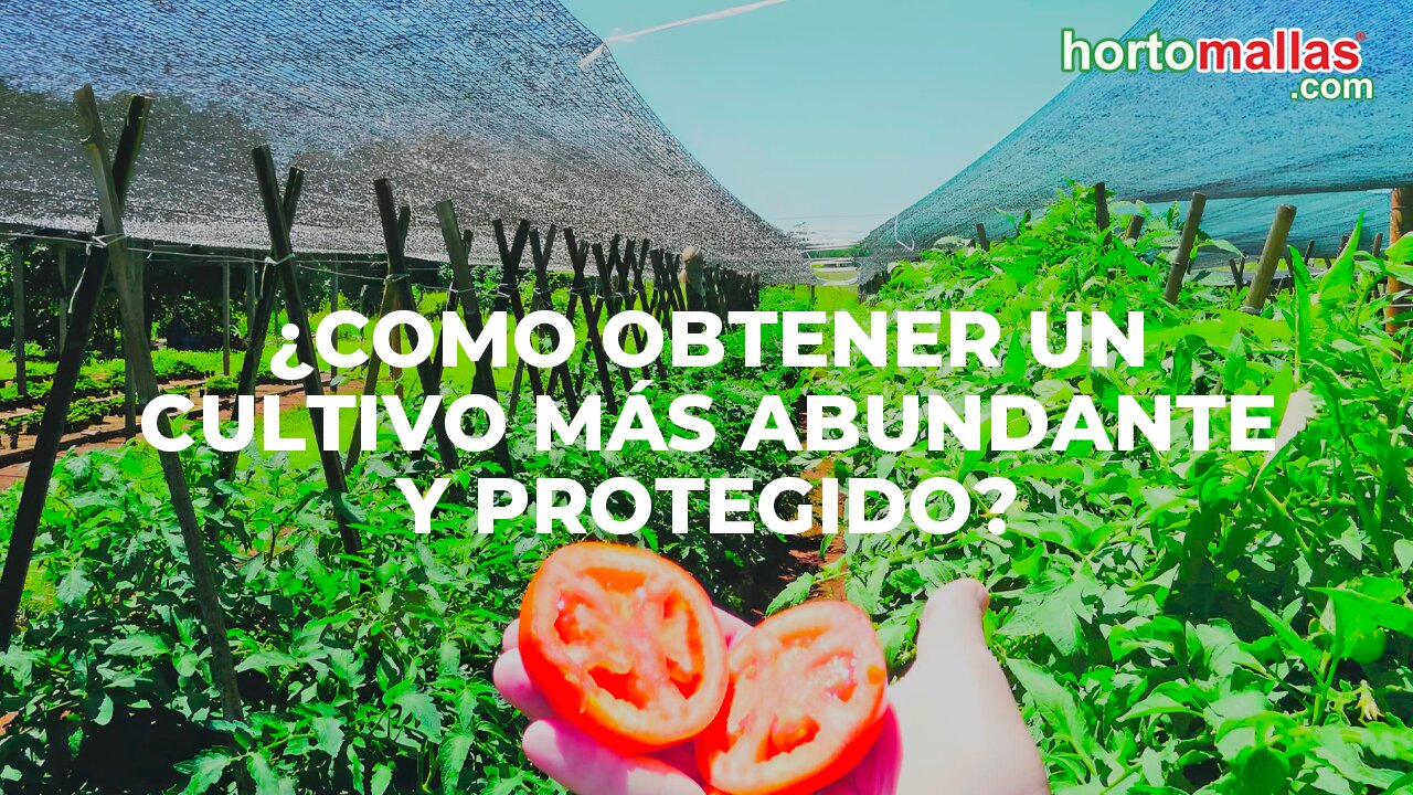 ¿Como obtener un cultivo más abundante y protegido?