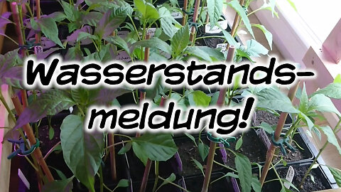Wasserstandsmeldung - Mach's Dir. Selbst.