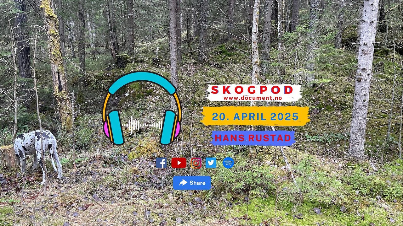 Skogpod 20. april 2025