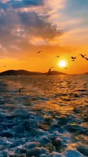 RFK jr's CDC. Never thought it possible in my lifetime.