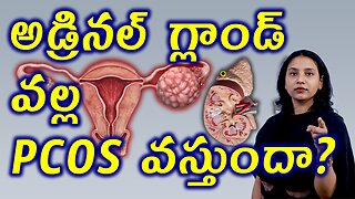 అడ్రినల్ గ్లాండ్ వల్ల PCOS వస్తుందా? Adrenal PCOS Causes Symptoms Tests Homeopathy Treatment Cure