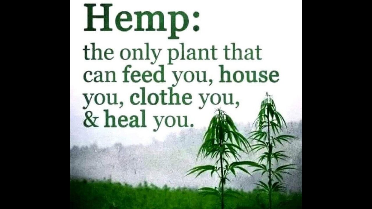 Hemp Batteries 🤯