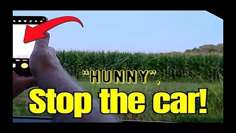 YOU WON'T BELIEVE WHAT THEY SAW! Just Plain Weird