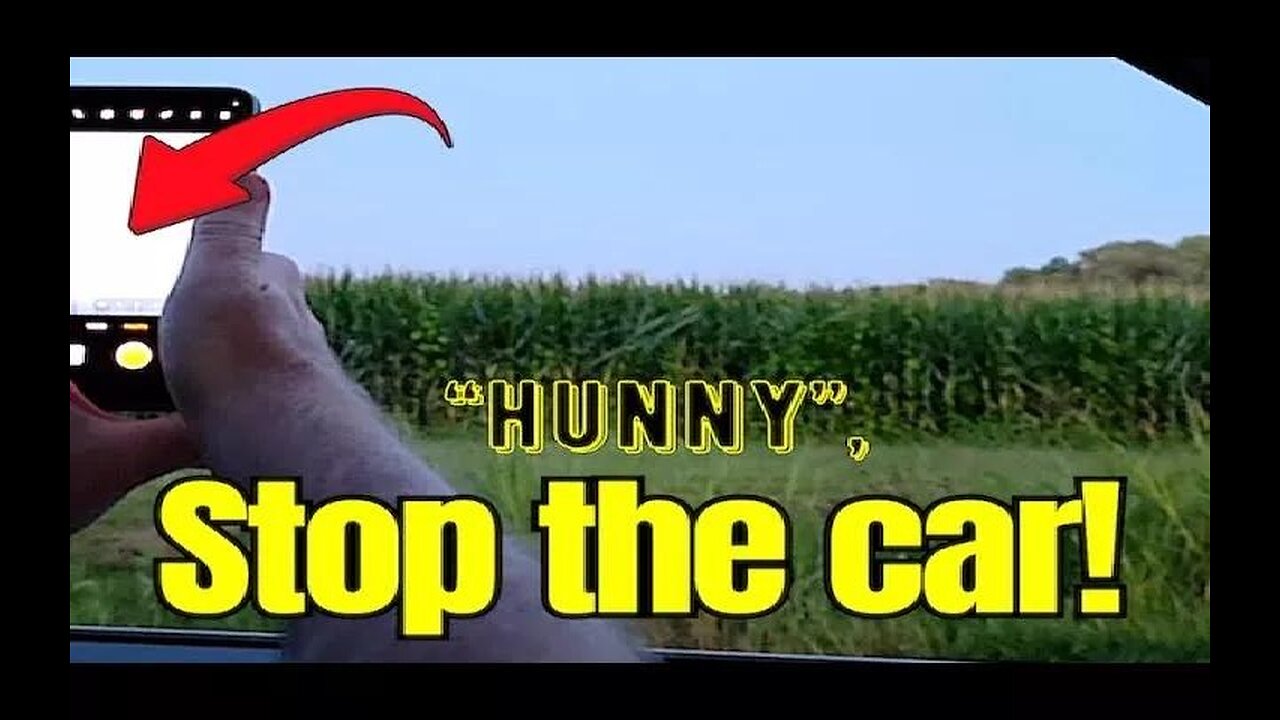 YOU WON'T BELIEVE WHAT THEY SAW! Just Plain Weird