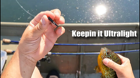 Small Fishing, Big Vibes