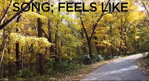FEELS LIKE