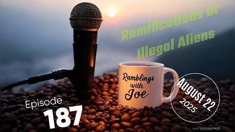 Ramifications of Illegal Aliens