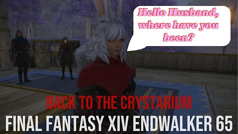 65 RETURN TO THE CRYSTARIUM FFXIV ENDWALKER #FINALFANTASYXIV #ENDWALKER #games #gameplay