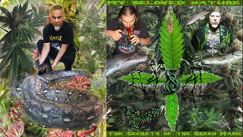 9) EA & AI -2025- My Beloved Nature - Part 3 (The Secrets of the Green Magic)