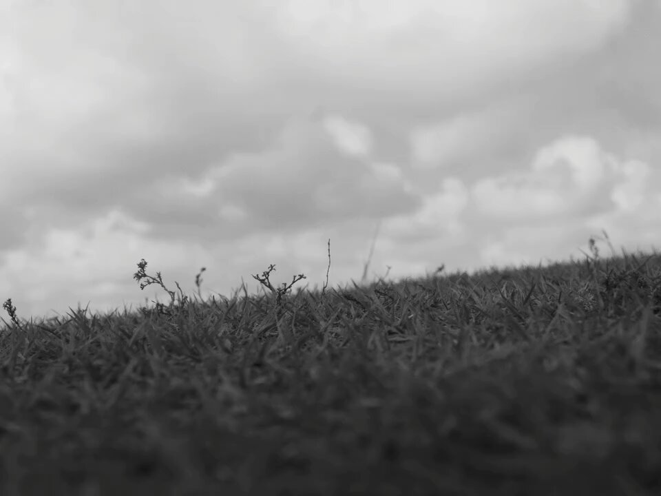 Jalen Ramsey posted this video to announce his move to the Steelers!