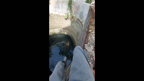 Standing on a Well… Then Jumping In! 🏊‍♂️ Rural Swimming Adventure