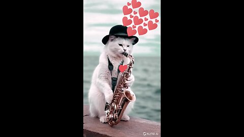 Paws and Harmony: The Musical Cat Maestro 