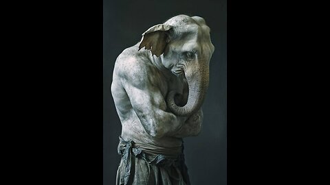 pachyderm justice apocalypse