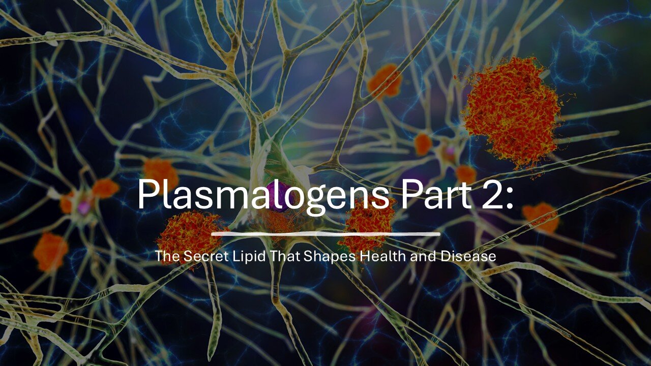 Plasmalogens Part 2: The Secret Lipid That Shapes Health and Disease