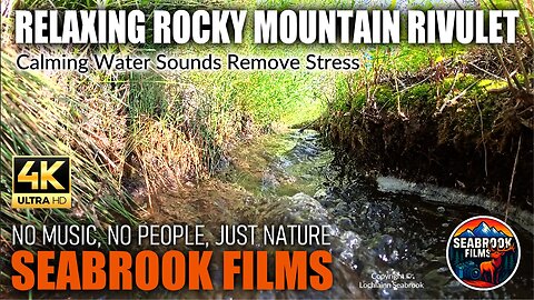 Relaxing Rocky Mountain Rivulet: Calming Water Sounds Remove Stress
