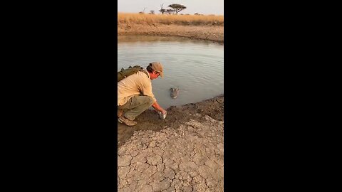 Forest Man Battles Massive Python! 🐍💪" #ManVsSnake #AfricanJungle #WildlifeAttack #ForestLife