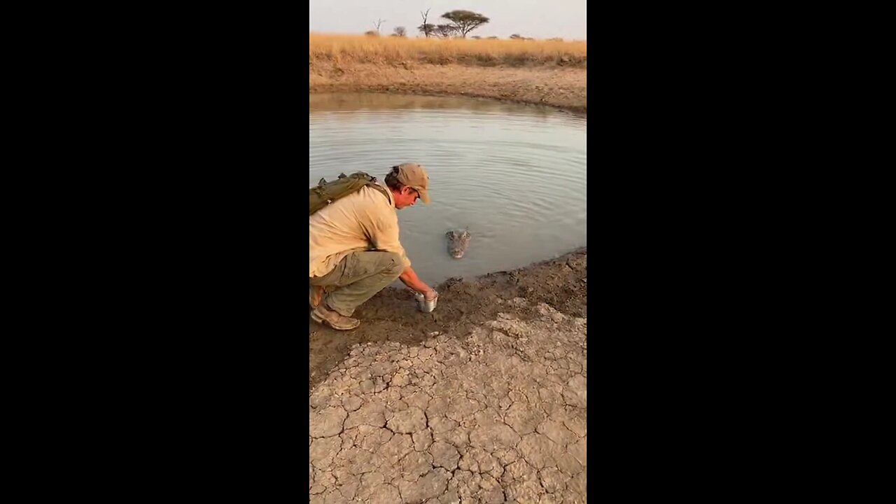 Forest Man Battles Massive Python! 🐍💪" #ManVsSnake #AfricanJungle #WildlifeAttack #ForestLife