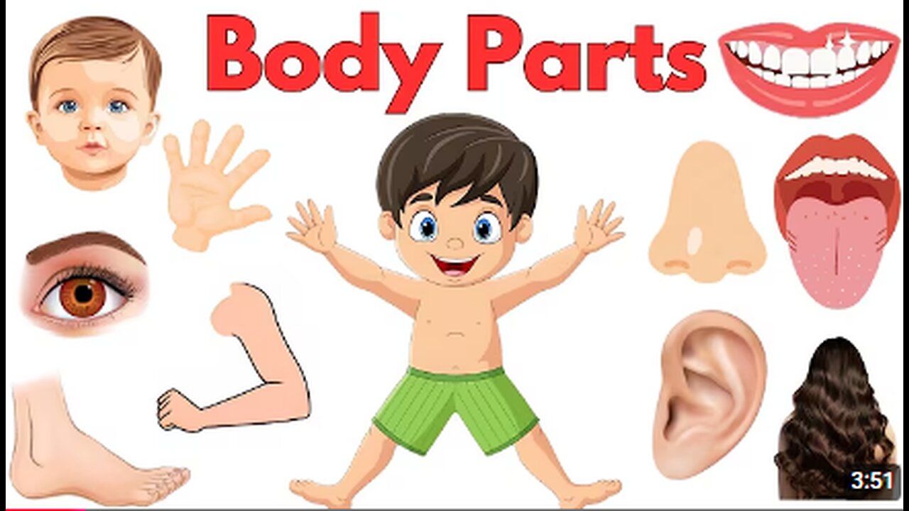 Parts of Body Body Parts Name Learning videos for kids First words for babies English vocab