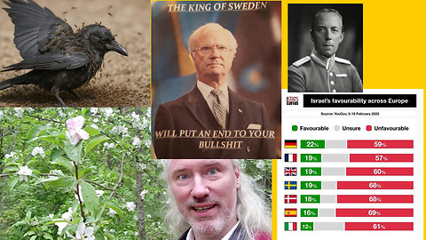 Notera manipulering. EU-tyranni. Folke Bernadotte och onda israeler. Myrning? Favorit-träd?
