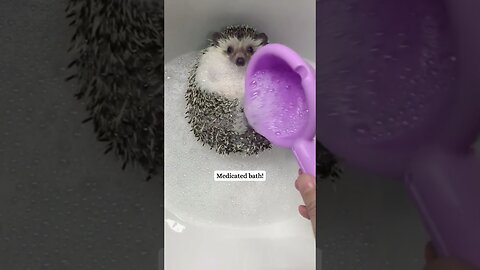 The guy found a hedgehog stuck in his face and saved him