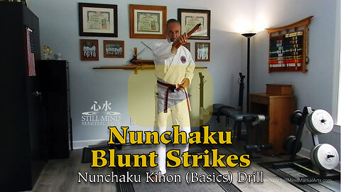 Nunchaku Kihon (Basics) Drill - Blunt Strikes