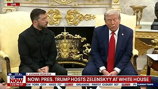 President Trump meets Zelenskyy at White House