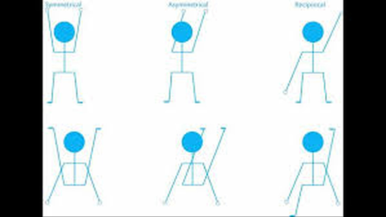 PNF MAX!!! Best Exercise On The Planet!!