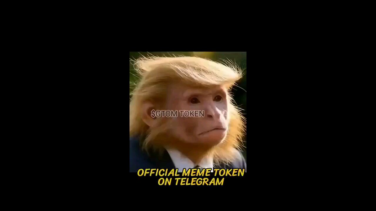 WHO'S HIM ? $GTOM TOKEN OFFICIAL MEME TOKEN ON TELEGRAM