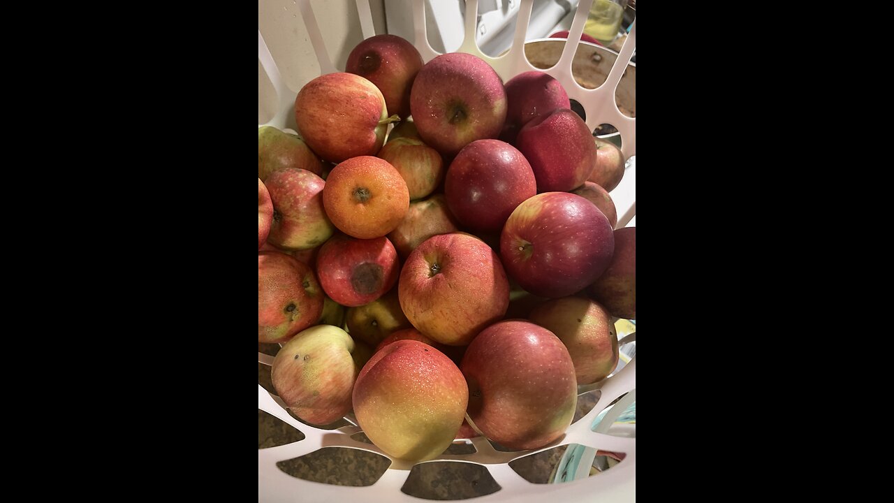Canning Apple Sauce