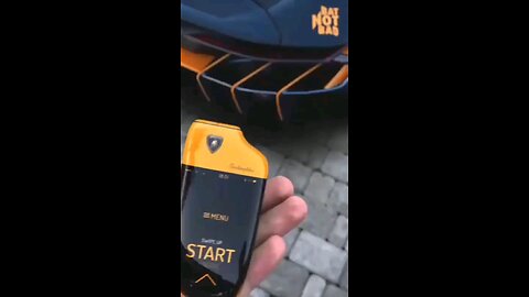 Lambo shorts