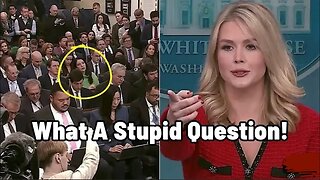 Trump New Press Secretary RoastsWoke Reporter Over DEl Policies By The Biden Administration