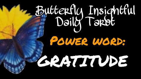 Butterfly Insightful Daily Tarot - Mythbusting - success comes from being grateful!