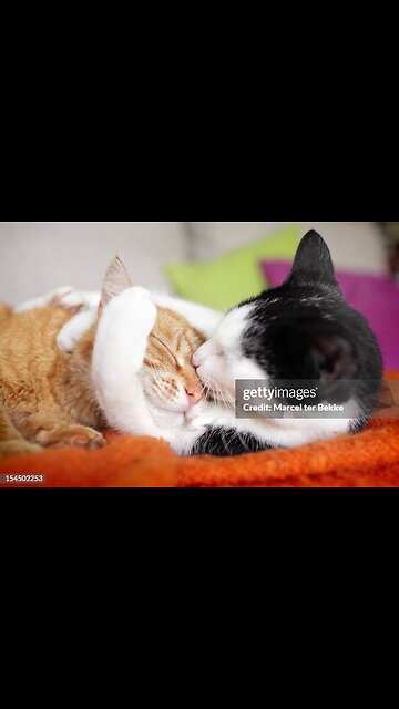 HUGGING OUT OF LOVE AND CARE