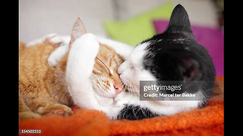 HUGGING OUT OF LOVE AND CARE