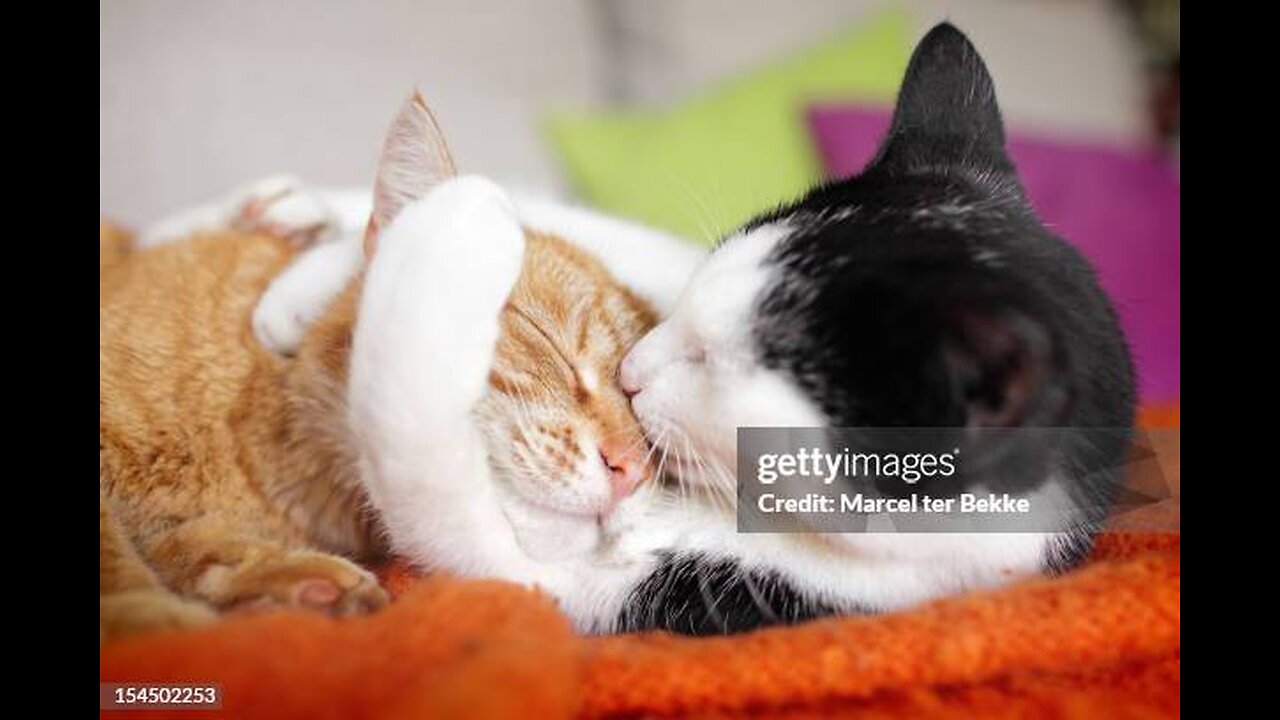 HUGGING OUT OF LOVE AND CARE