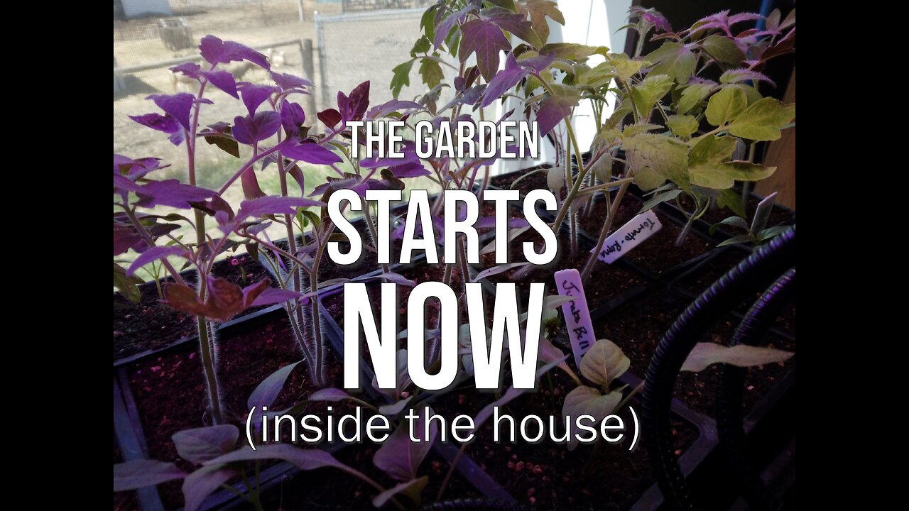 Welcome to the start of our spring 2025 garden!