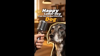 Happy Labor Day from the Hardest Working Dog:Pepper
